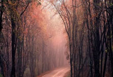 天涯神贴排行榜：那些神帖看你怎么笑与吐槽